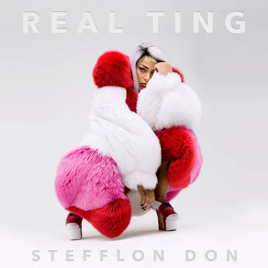 Stefflon Don Narcos Mp3 Download