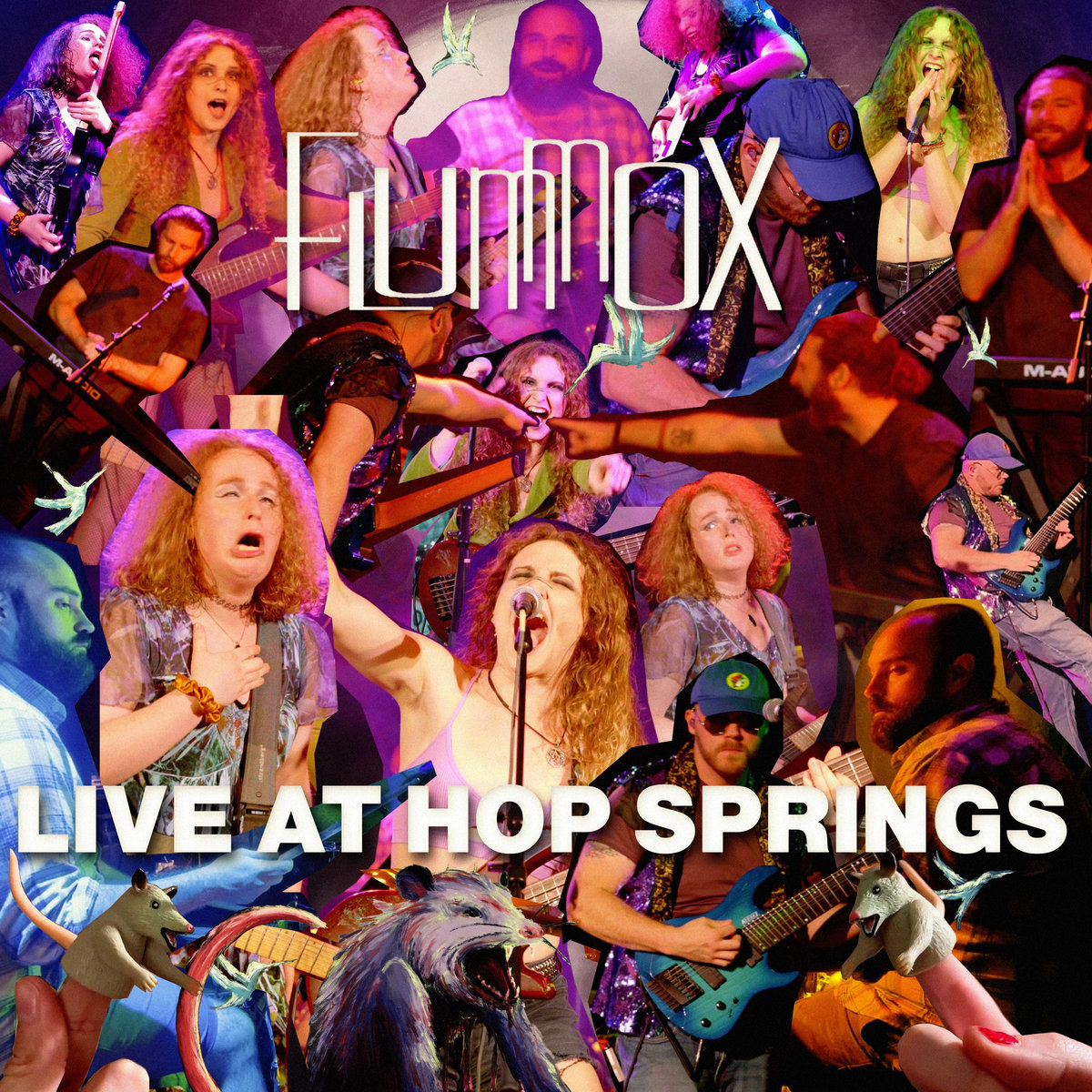 Flummox Live at Hop Springs Zip Download