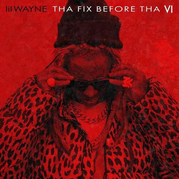 Lil Wayne No New Bitches Mp3 Download