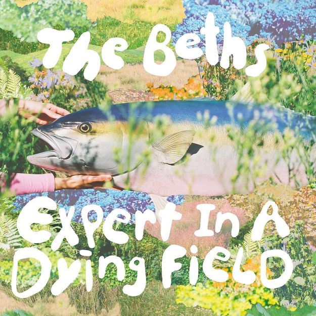 The Beths Expert In A Dying Field (Deluxe) Zip Download