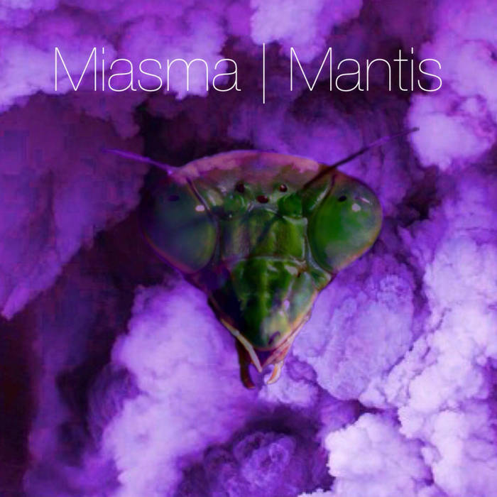 Mantis The Miasma & Blank Thought Traveling In Circles Zip Download