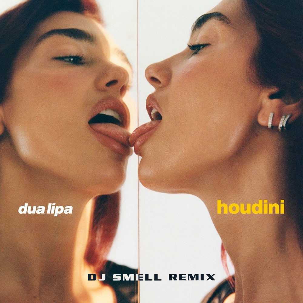 Dua Lipa Training Season Mp3 Download