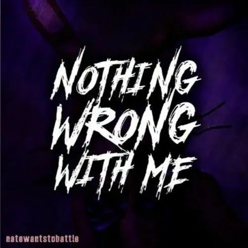 NateWantsToBattle Nothing Wrong With Me Mp3 Download