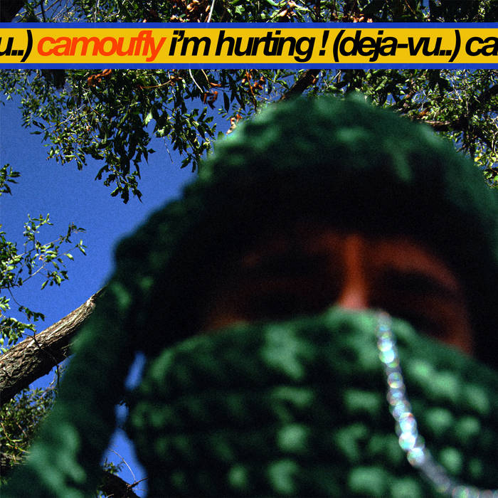 camoufly i’m hurting ! (deja-vu..) Mp3 Download