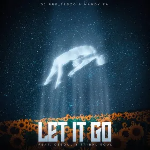 DJ Pre_Tedzo & Mandy ZA Let It Go Mp3 Download