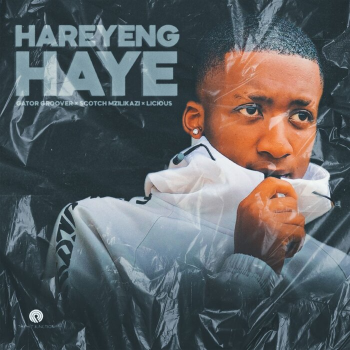 Gator Groove Hareyeng Haye Mp3 Download