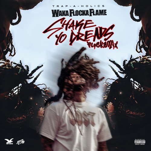 Waka Flocka Shake Yo Dreads [Flockamix] Mp3 Download