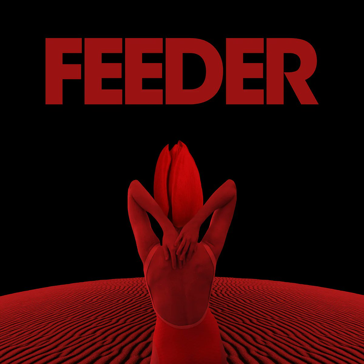 Feeder Lost in the Wilderness Mp3 Download