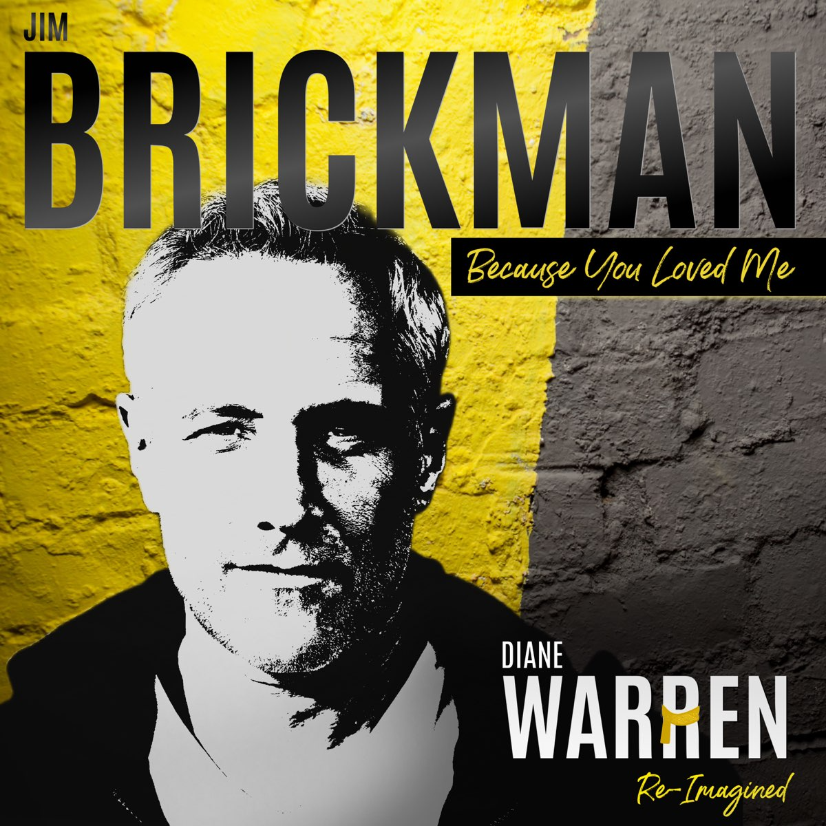 Jim Brickman Because You Loved Me: Diane Warren Re-Imagined Album Zip Download