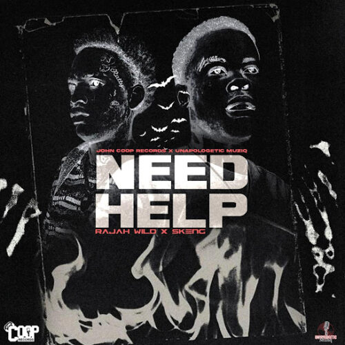 Skeng Need Help Mp3 Download