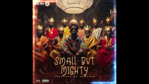 Shatta Wale Small But Mighty Mp3 Download