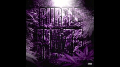 Fetty Wap Purple Haze Mp3 Download