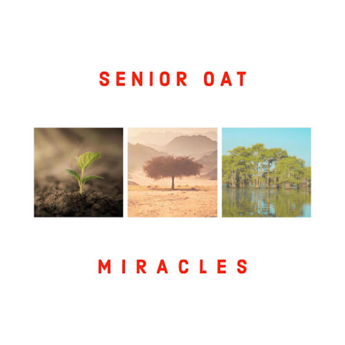 Senior Oat The Only One Mp3 Download