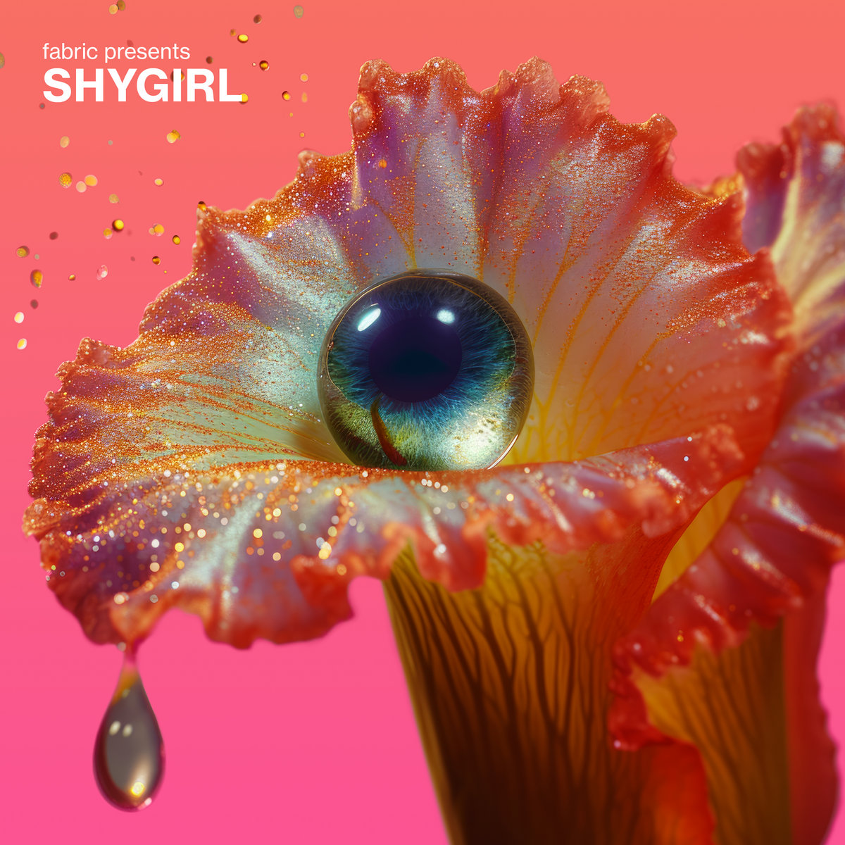 Shygirl fabric presents Shygirl Album Zip Download