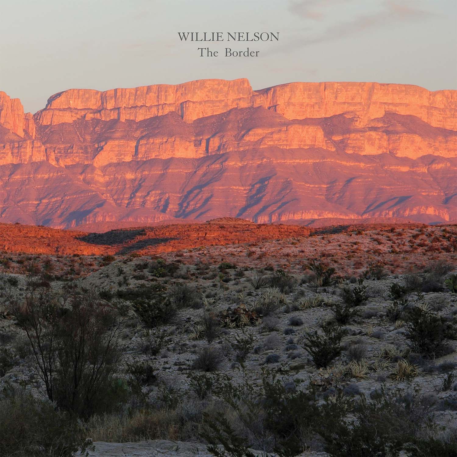 Willie Nelson The Border Album Zip Download