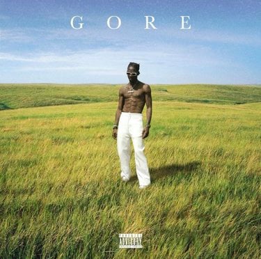 Famous Dex Gore Album Zip Download