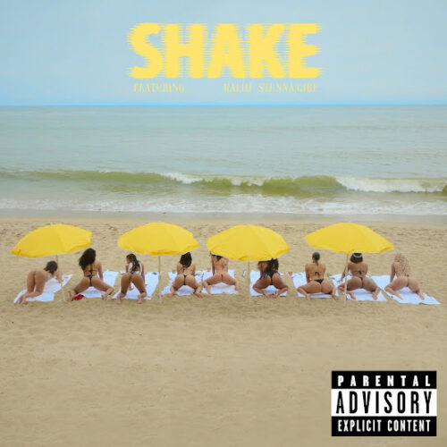 YG SHAKE Mp3 Download