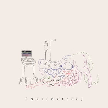 Strawberry Hospital Nullmatrix Album Zip Download